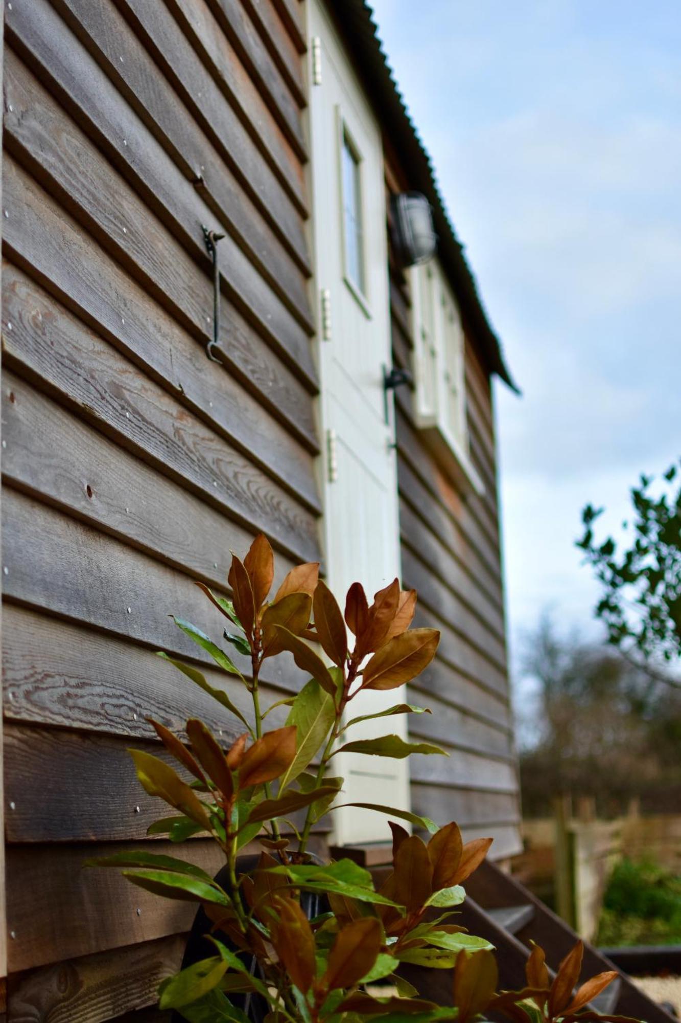 Apartament The Deer Hut Burpham Zewnętrze zdjęcie